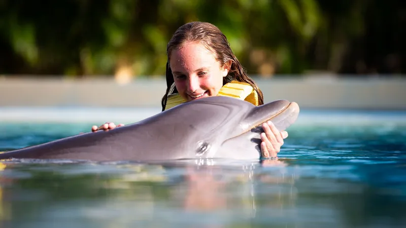 DOLPHIN SWIM EXPERIENCE WITH OPEN BAR AND LUNCH