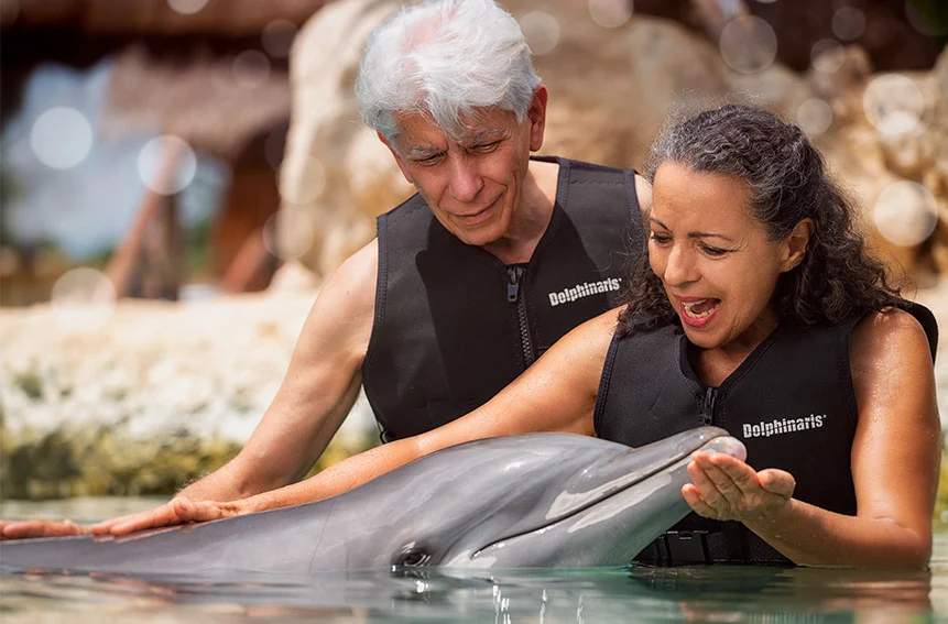 DOLPHIN FRIENDLY ENCOUNTER - Dolphinaris